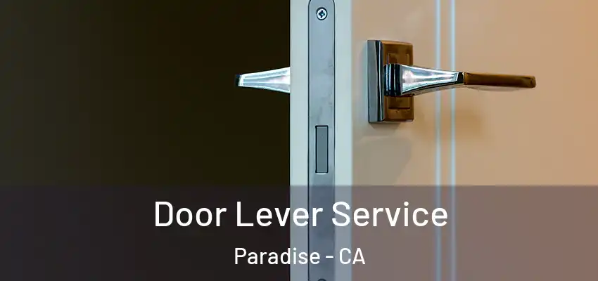  Door Lever Service Paradise - CA