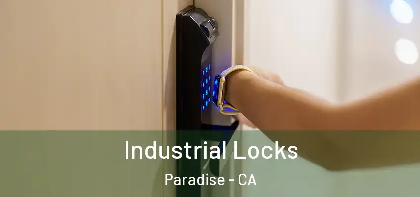 Industrial Locks Paradise - CA
