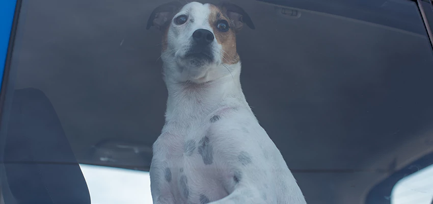 Car Lockout Solutions in Paradise, California